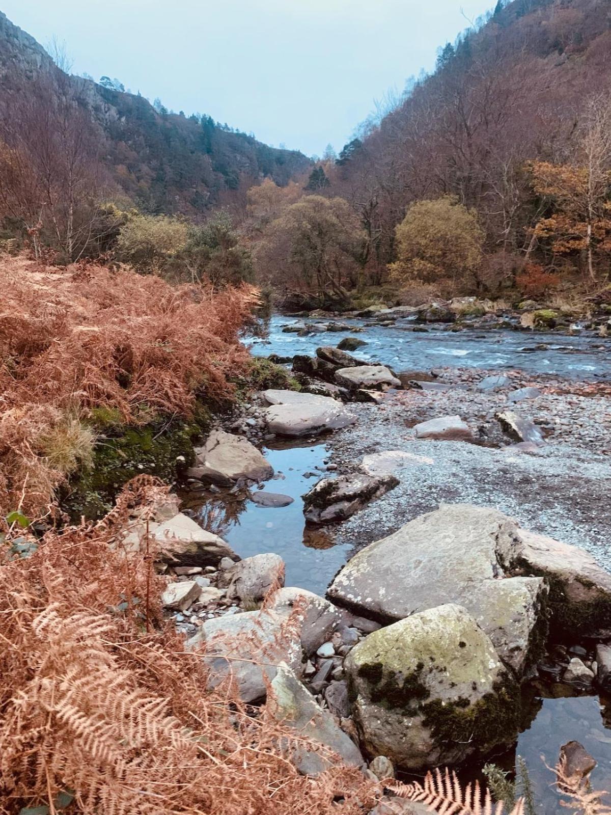 Tyn Y Simdde - Secluded Mountain Stay - Stunning Views Of Eryri Dolgellau Extérieur photo