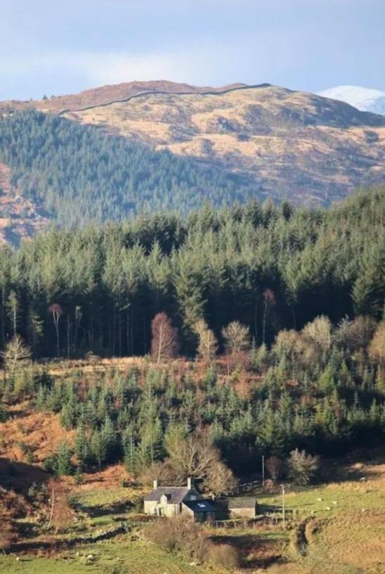Tyn Y Simdde - Secluded Mountain Stay - Stunning Views Of Eryri Dolgellau Extérieur photo