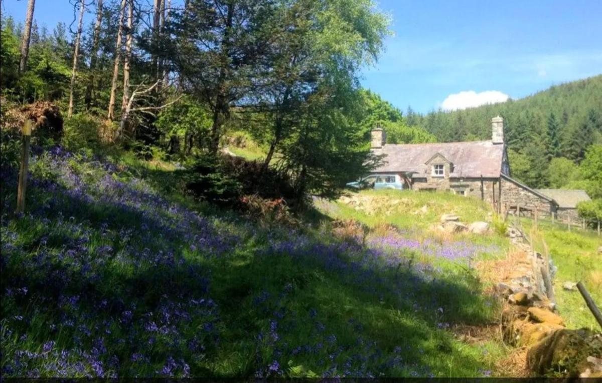 Tyn Y Simdde - Secluded Mountain Stay - Stunning Views Of Eryri Dolgellau Extérieur photo