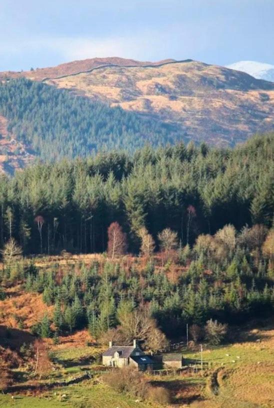 Tyn Y Simdde - Secluded Mountain Stay - Stunning Views Of Eryri Dolgellau Extérieur photo