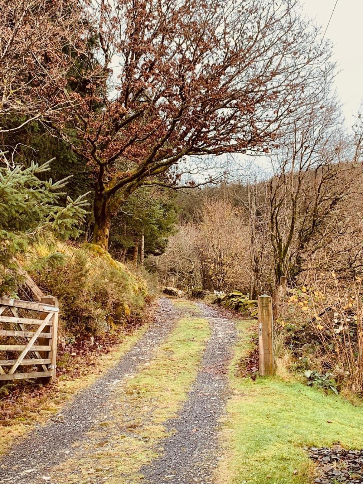 Tyn Y Simdde - Secluded Mountain Stay - Stunning Views Of Eryri Dolgellau Extérieur photo