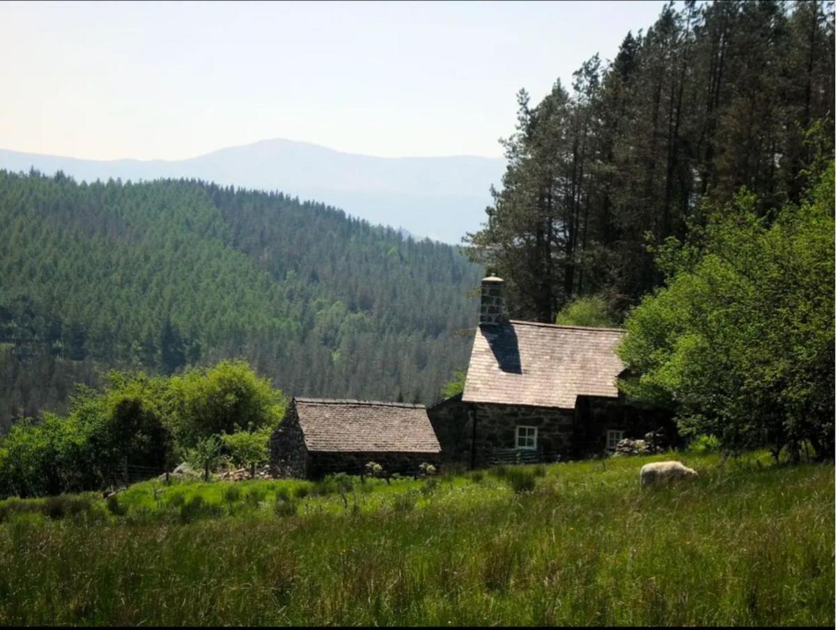 Tyn Y Simdde - Secluded Mountain Stay - Stunning Views Of Eryri Dolgellau Extérieur photo