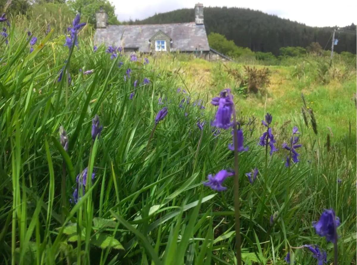Tyn Y Simdde - Secluded Mountain Stay - Stunning Views Of Eryri Dolgellau Extérieur photo