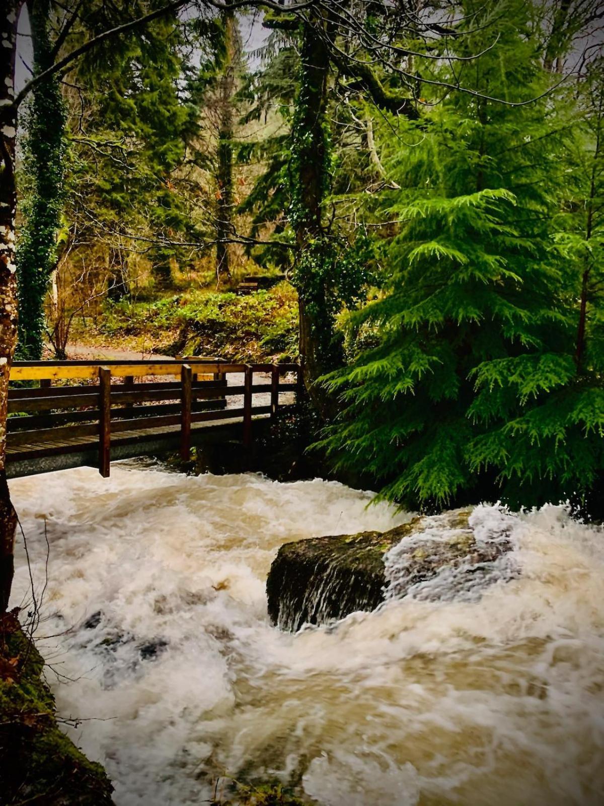 Tyn Y Simdde - Secluded Mountain Stay - Stunning Views Of Eryri Dolgellau Extérieur photo